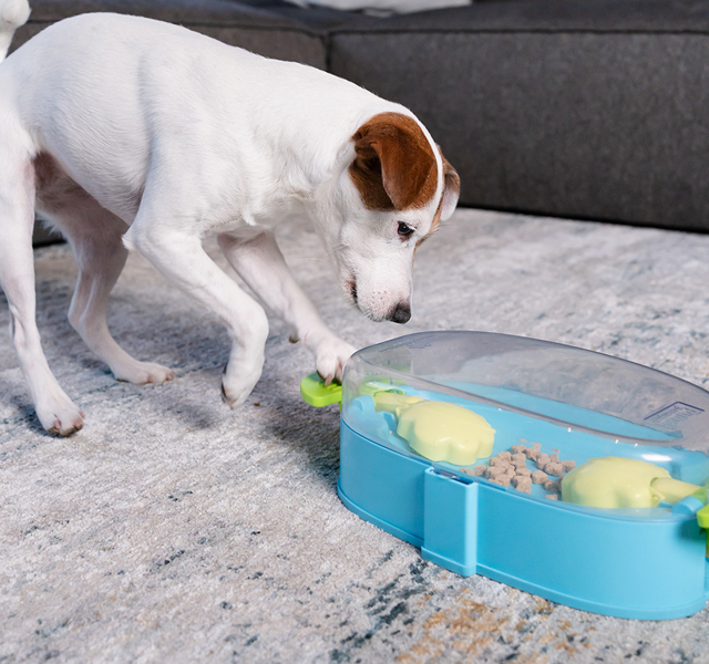 Nina Ottosson Paw N Play Aktiveringsleksak