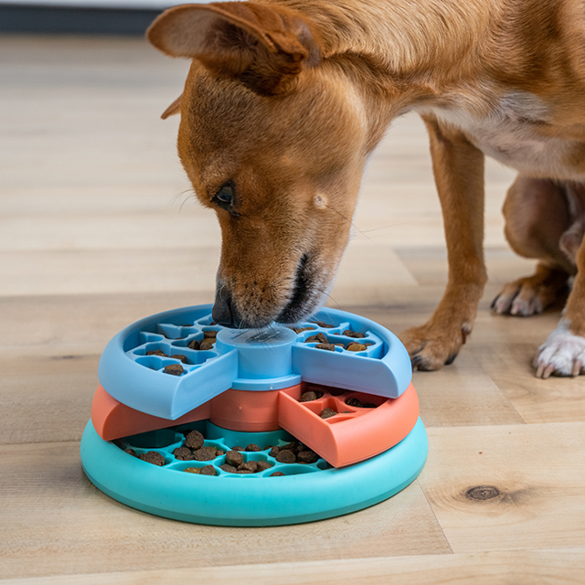 Nina Ottosson Puppy Lickin' Layers