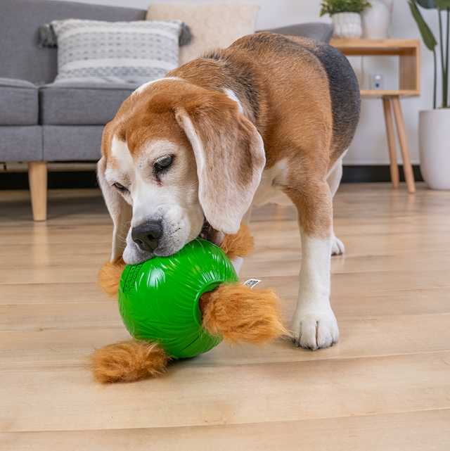 Nina Ottosson Snuffle N Treat Ball Aktiveringsleksak - Small