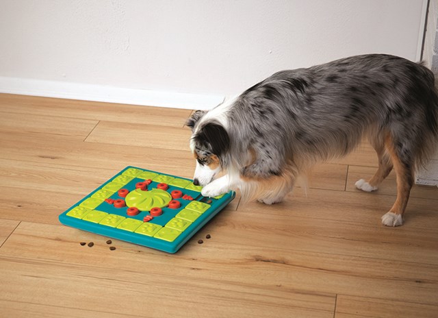 Nina Ottosson Dog Multipuzzle AKTIVERINGSLEKSAK