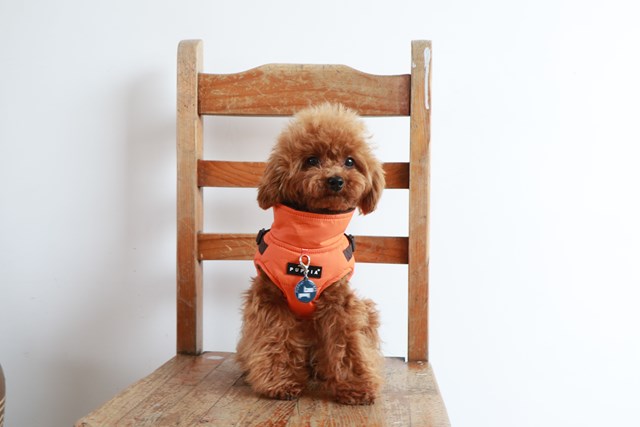 Mountaineer II Orange - Fodrat Hundtäcke med Integrerad Sele