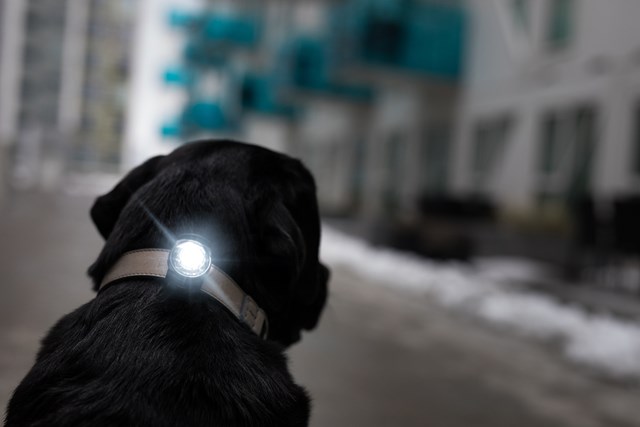 Orbiloc Safety Light Dark