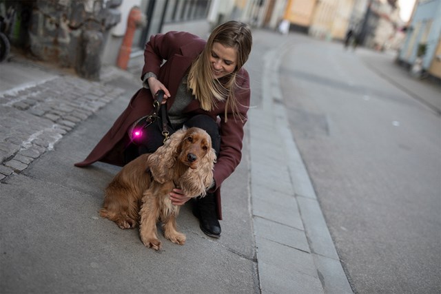 Orbiloc Safety Light Rosa