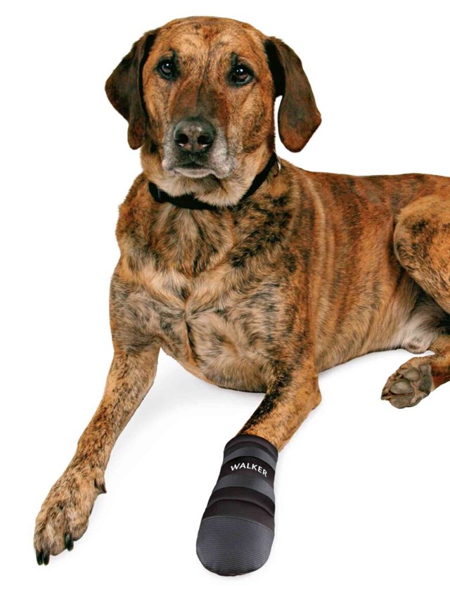Walker Care 2-pack - Hundskor