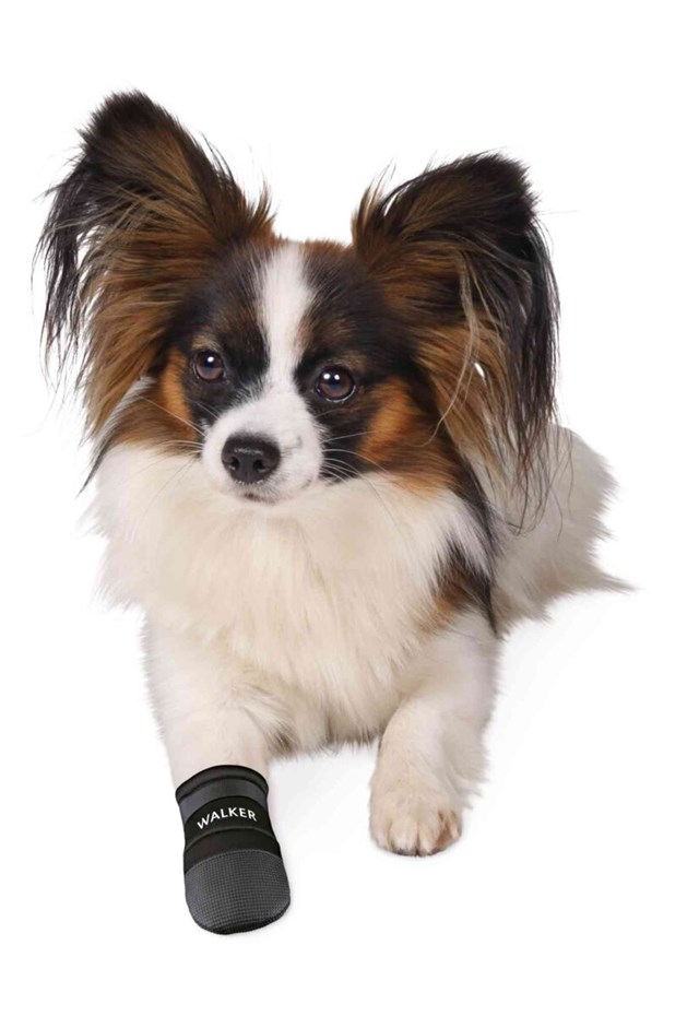 Walker Care 2-pack - Hundskor