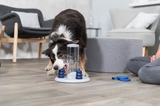 Dog Activity Gambling Tower - Aktiveringsleksak