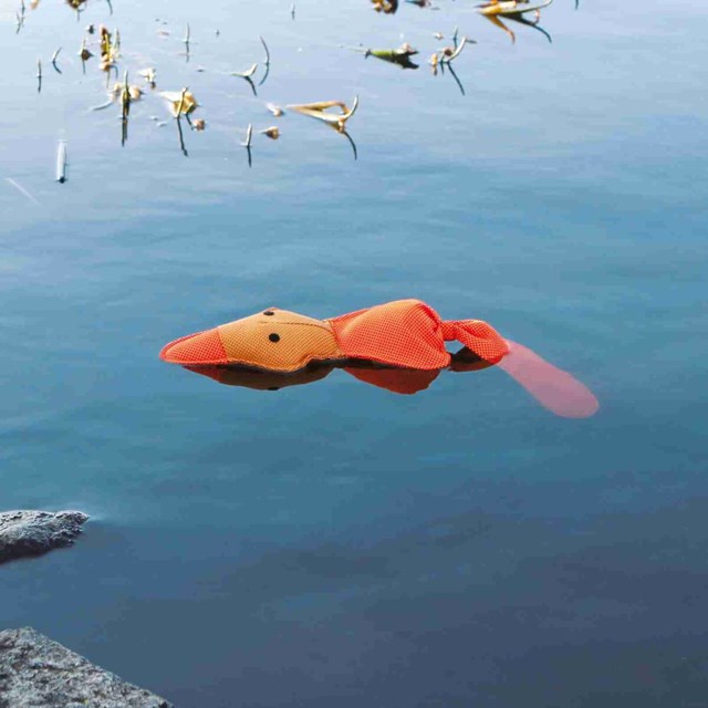 Anka med pip 50 cm - Flytande hundleksak