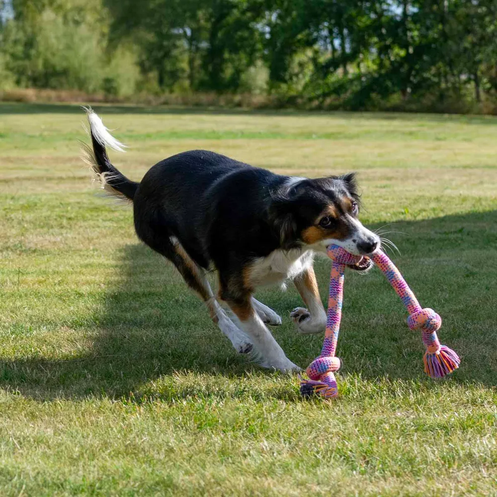 Pamela Anderson onlayn porno