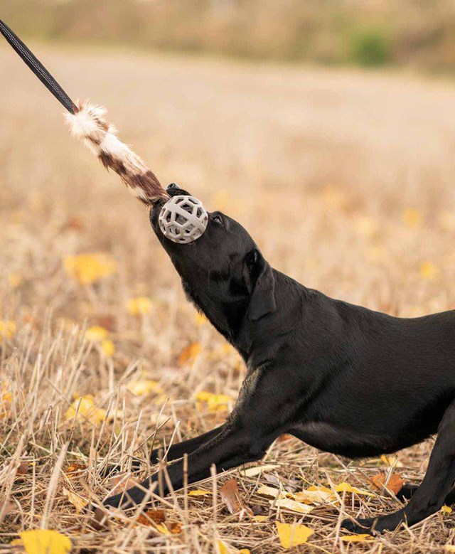 Play-n-tug Kampleksak med fuskpäls och Boll 65 cm