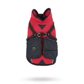 P2 - Red