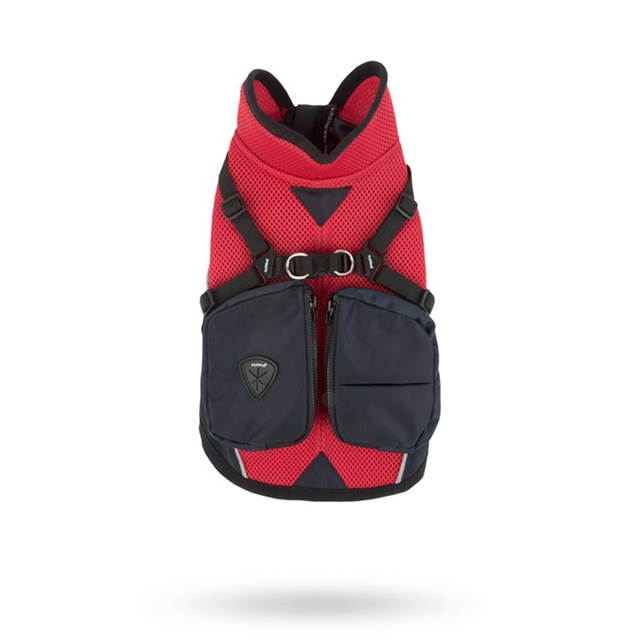 P2 - Red