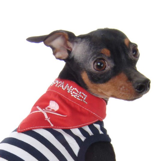 Pirate Scarf Red