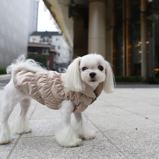 Luxury FDJ Padded Vest - Beige