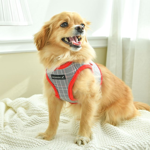 Blake Red - Jacket Hundsele