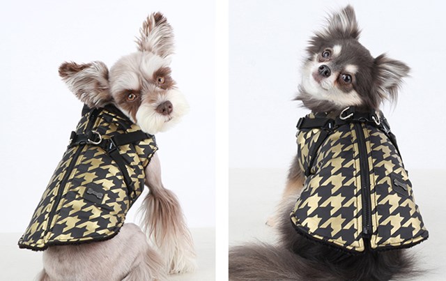 Dogstooth Black - Hundtäcke med Integrerad Sele