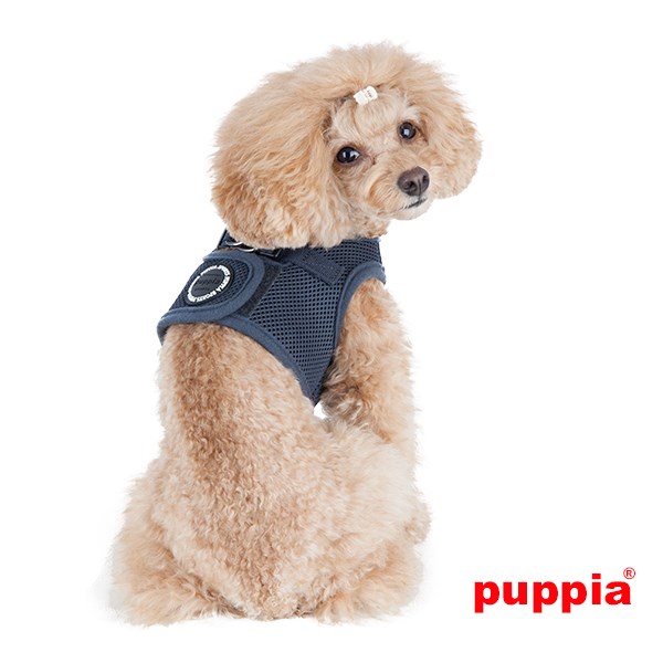 SOFT VEST Hundsele - Svart