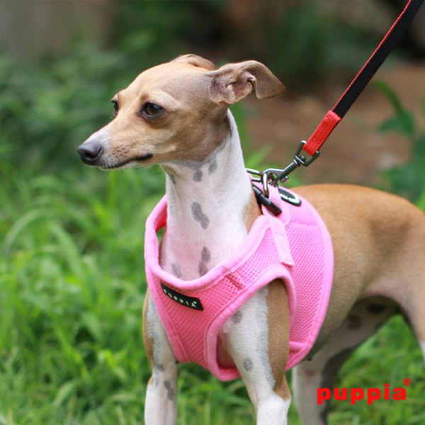 SOFT VEST Pink - Hundsele
