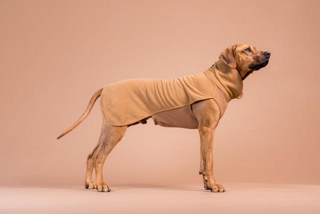 PAIKKA Seawool Shirt Brown