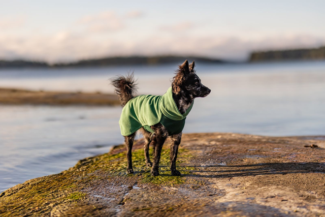 PAIKKA Seawool Shirt Green