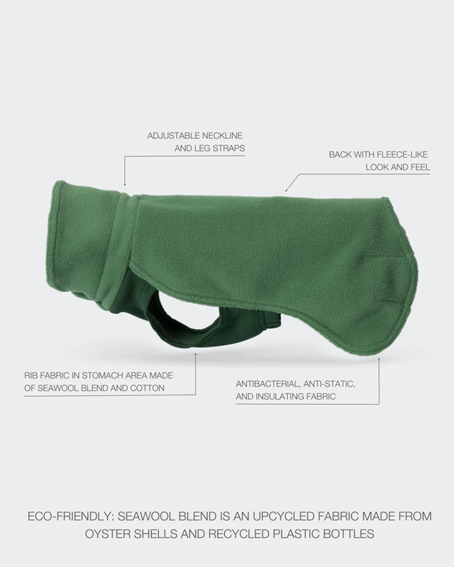 PAIKKA Seawool Shirt Green