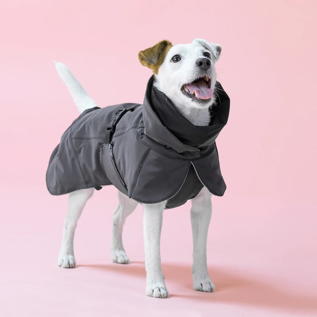 Paikka Visibility Winter Jacket - Dark
