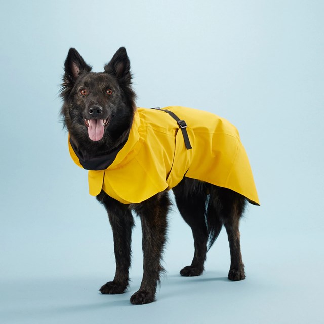 PAIKKA Visibility Raincoat Lite - Gul