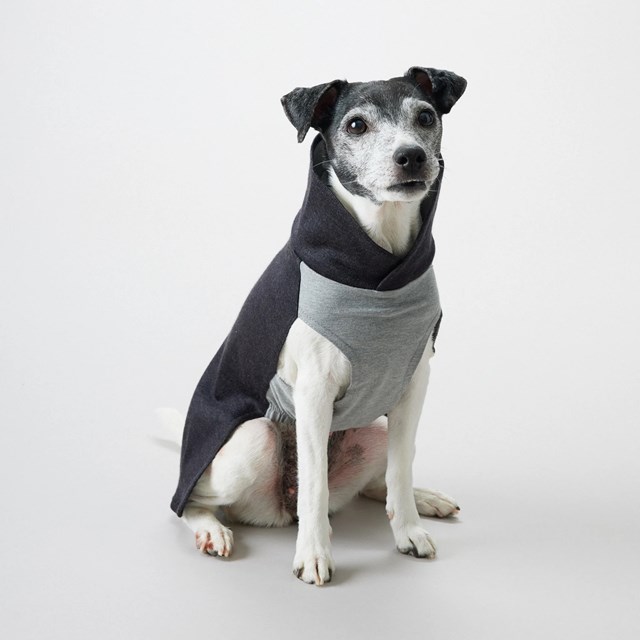 Recovery Winter Shirt - Grå Hundtröja i ullmix