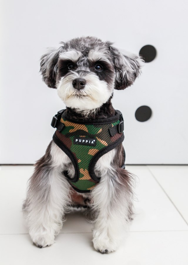 RITEFIT SOFT Camo - Hundsele