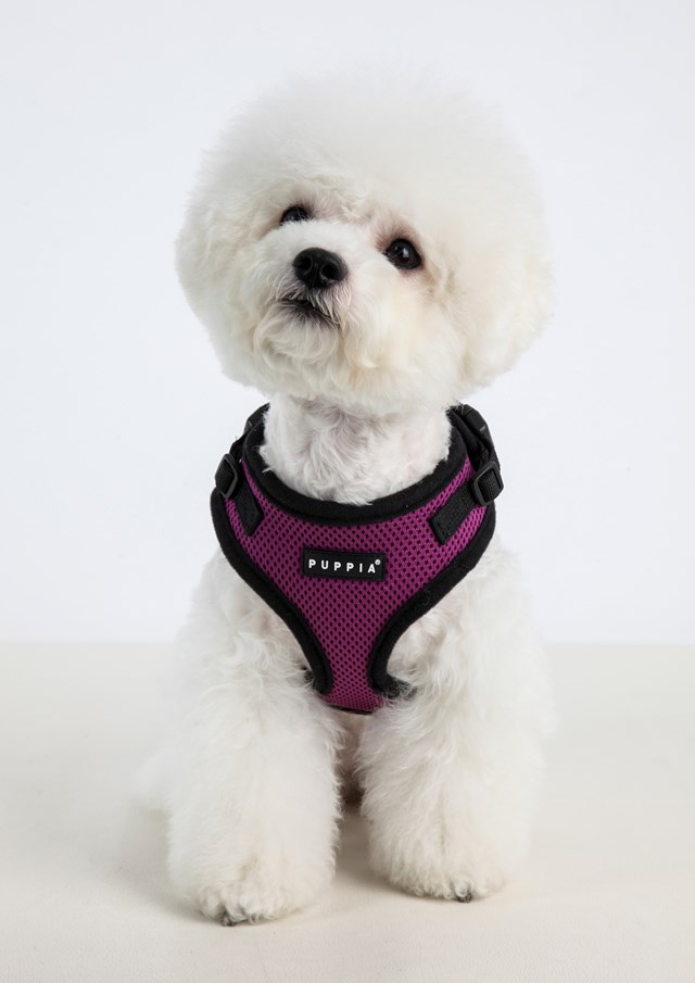 RITEFIT SOFT Purple - Hundsele
