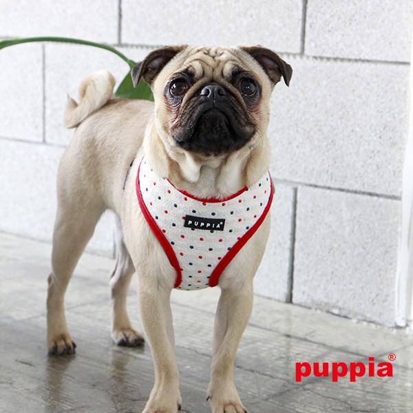PAX Red - Hundsele