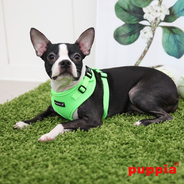 RITEFIT NEON SOFT Green - Hundsele