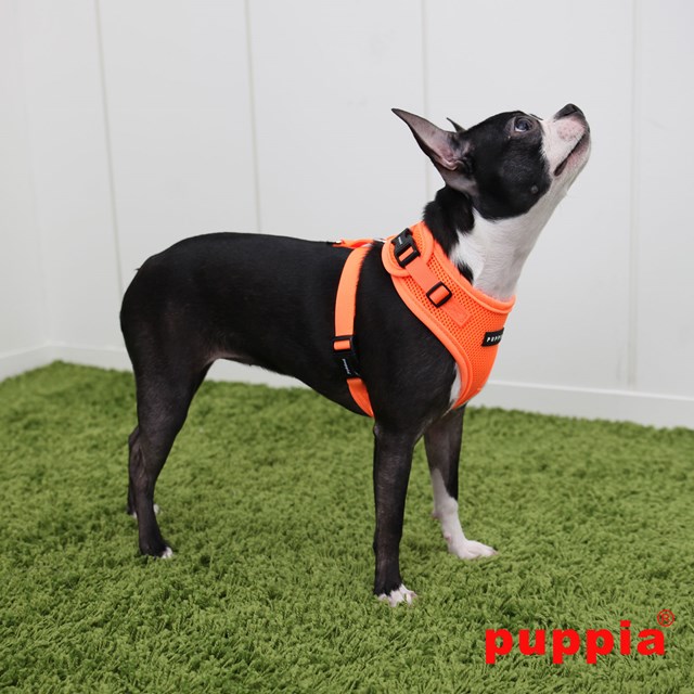 RITEFIT NEON SOFT Orange - Hundsele