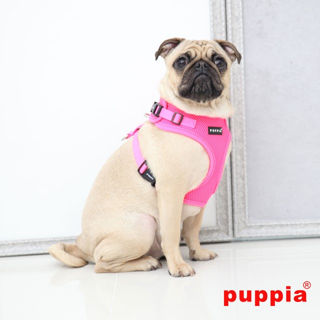 RITEFIT NEON SOFT Pink - Hundsele