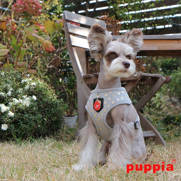 Modern Dotty Grey - Hundsele