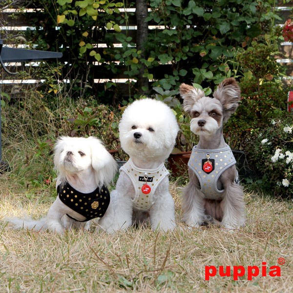 Modern Dotty Grey - Hundsele