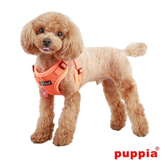 NEON SOFT Orange - Step-in Hundsele LARGE