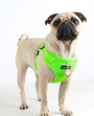 NEON SOFT - Grön Step-in Hundsele LARGE