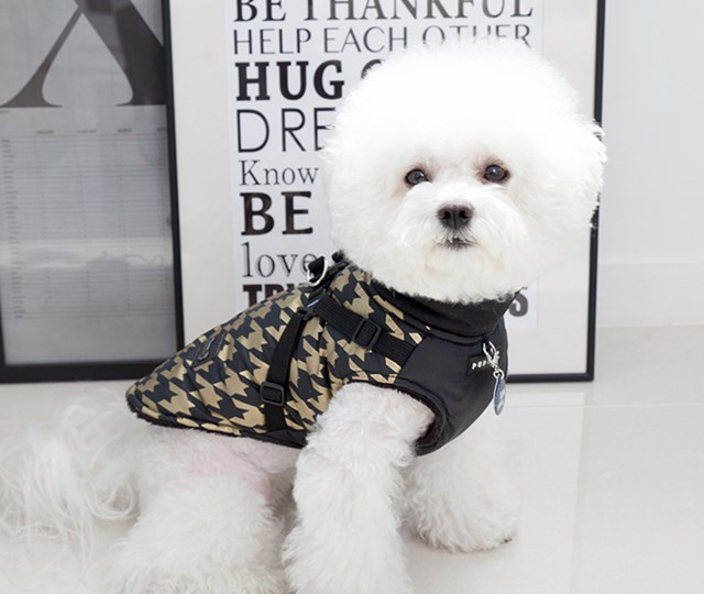 Dogstooth Black - Hundtäcke med Integrerad Sele
