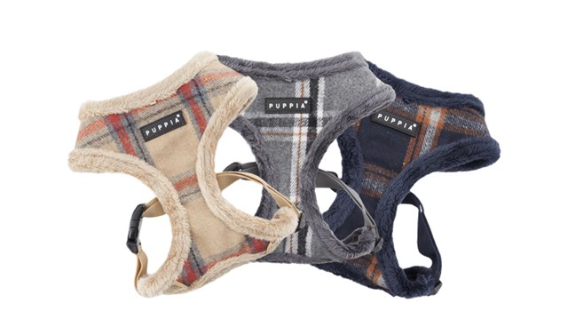 KEMP Grey - Fodrad Hundsele xl