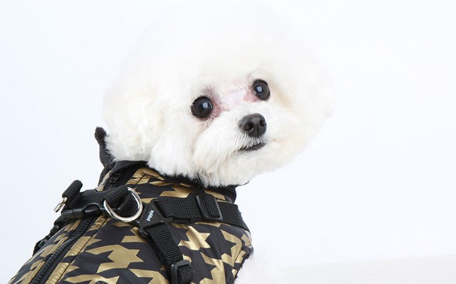 Dogstooth Black - Hundtäcke med Integrerad Sele