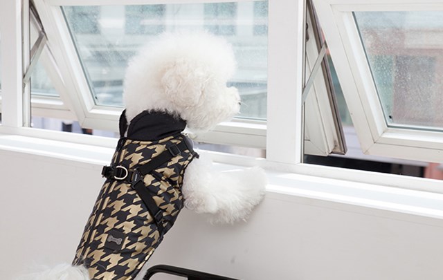 Dogstooth Black - Hundtäcke med Integrerad Sele