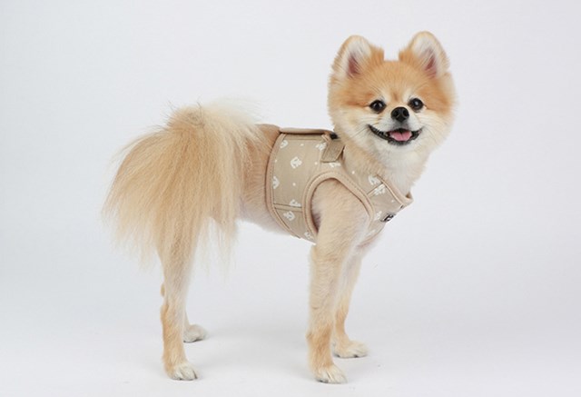 ERNEST Beige - Jacket Hundsele