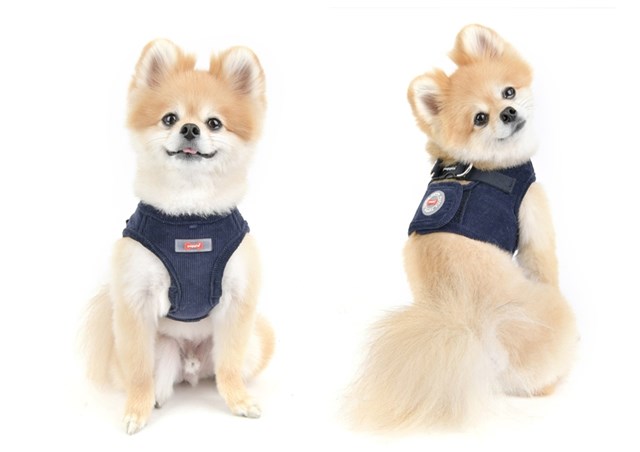 Classy Navy - Jacket Hundsele
