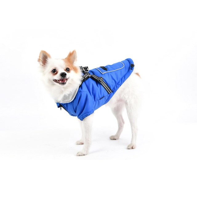 Mallory - Royal Blue