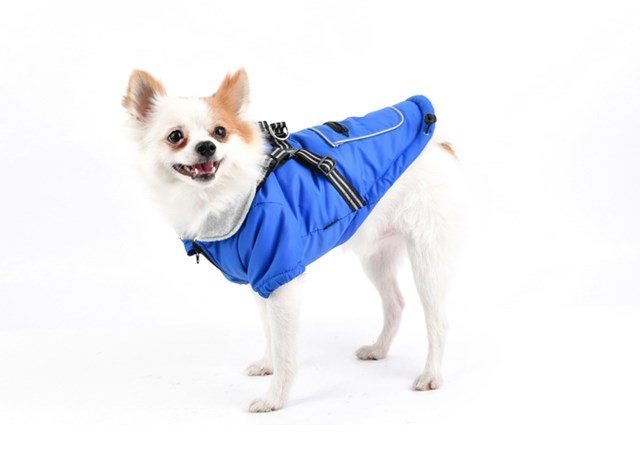Mallory Royal Blue - Hundtäcke med Integrerad Sele
