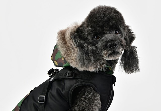 Orson Black Camo - Hundtäcke med Luva och Integrerad Sele