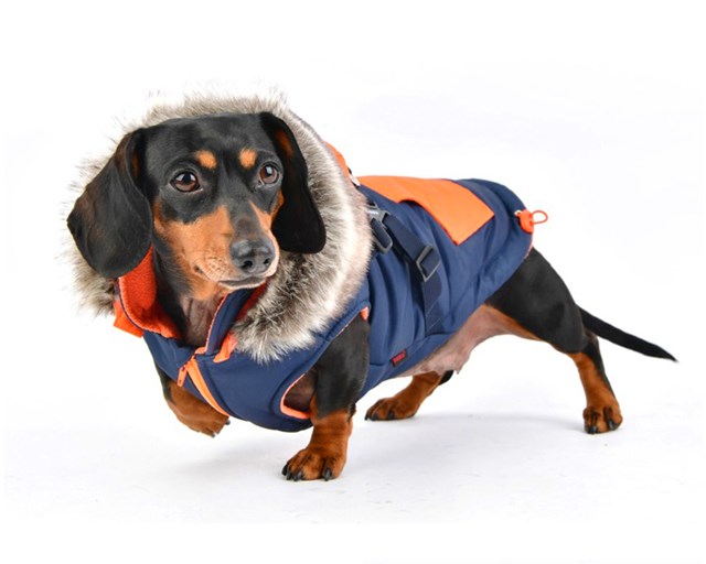 Orson Navy/Orange - Hundtäcke med Luva och Integrerad Sele
