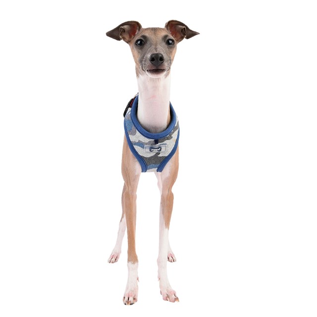 Ensign Blue Camo - Hundsele