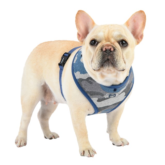 Ensign Blue Camo - Hundsele