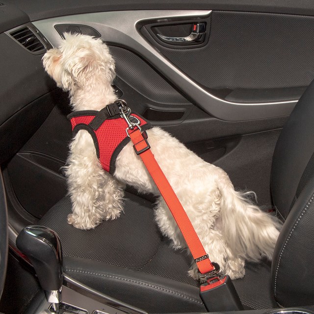 Simple Dog Red - Koppling till Bilbälteshållare